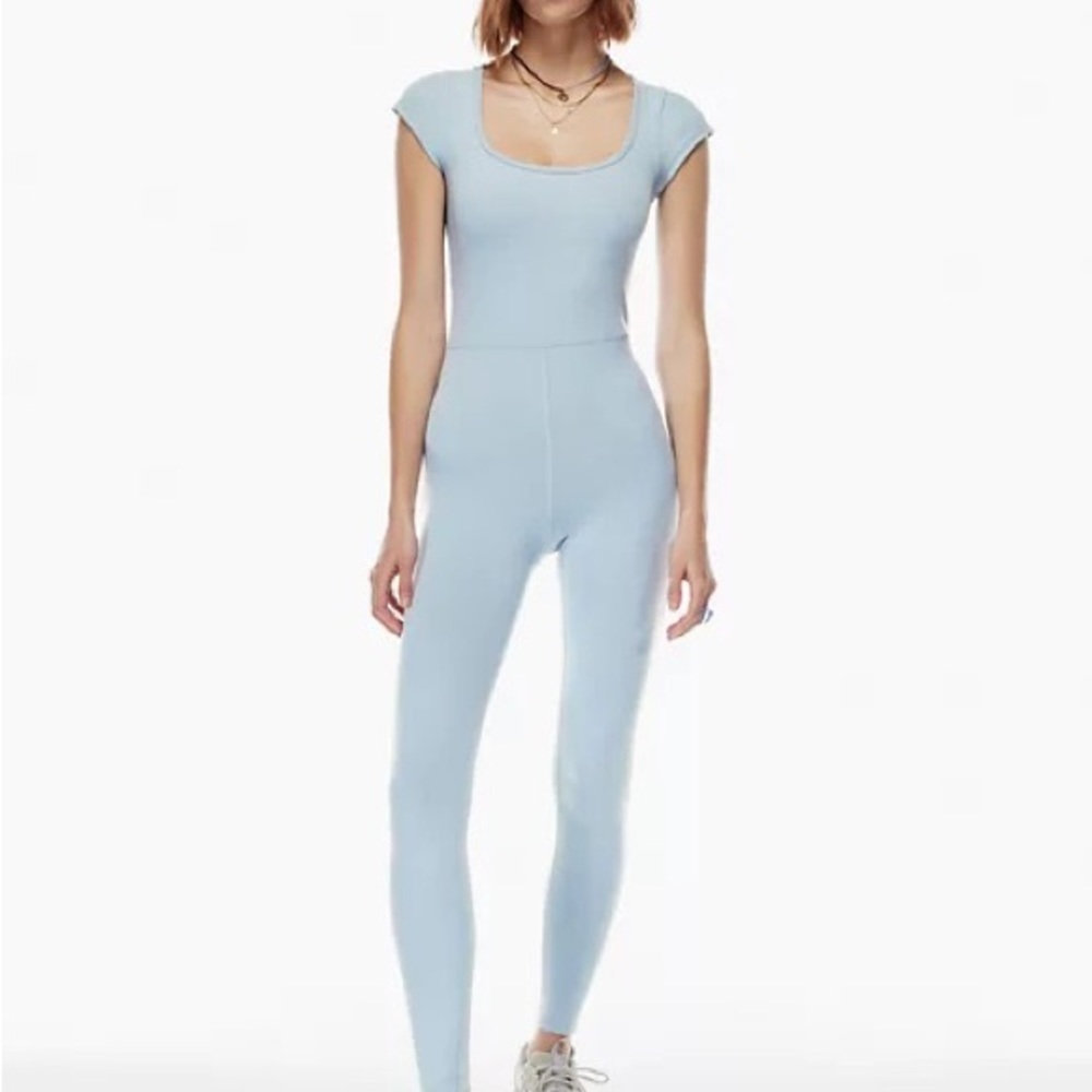 Aritzia Divinity Jumpsuit